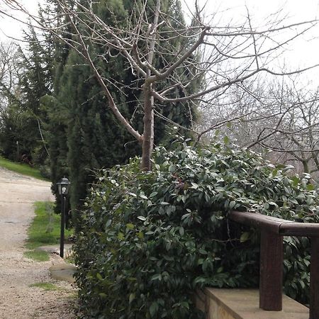 Agriturismo Le Valli Hotel Acuto Exterior photo