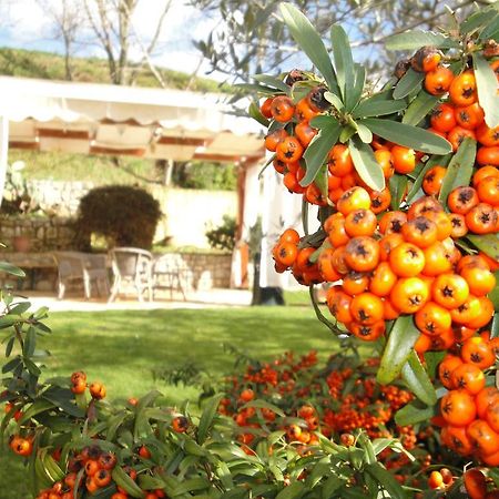 Agriturismo Le Valli Hotel Acuto Exterior photo