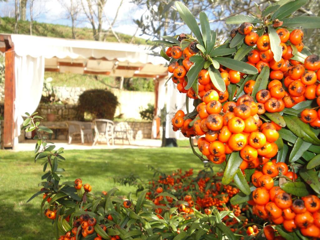 Agriturismo Le Valli Hotel Acuto Exterior photo
