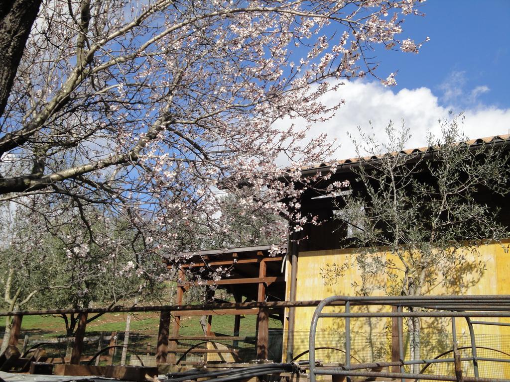 Agriturismo Le Valli Hotel Acuto Exterior photo